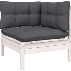 Tuinbank 2-zits met kussens massief grenenhout>vidaXL Outlet