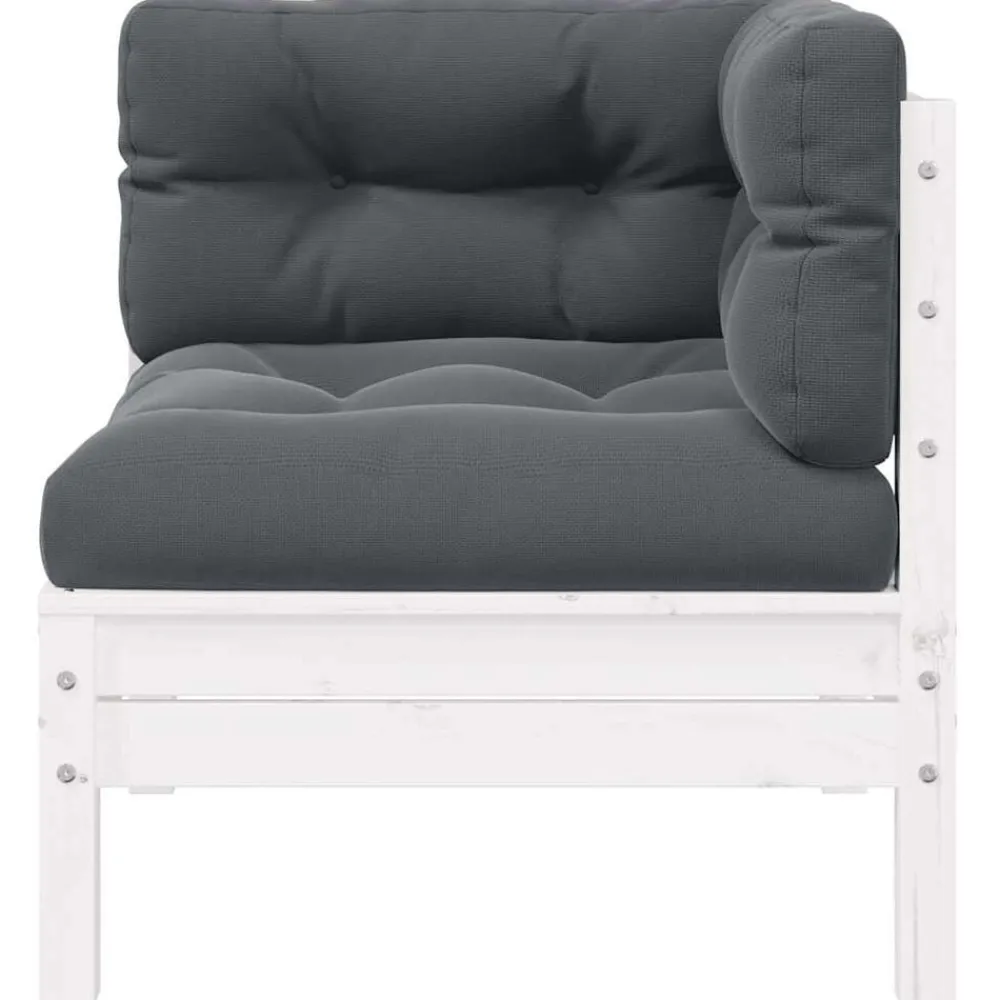 Tuinbank 2-zits met kussens massief grenenhout>vidaXL Outlet