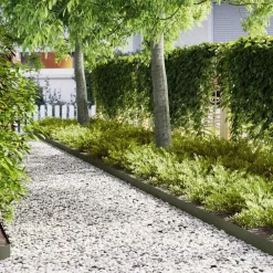 Tuinafscheidingen*vidaXL Tuinrand 10 pcs Olijf Groen 100 x 0,05 x 15 cm Olijfgroen
