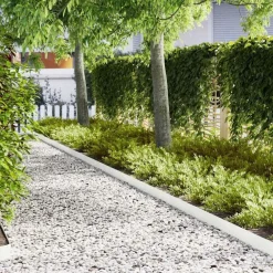 Tuinrand 10 pcs 100 x 0.05 x 20 cm Koudgewalst staal>vidaXL Sale