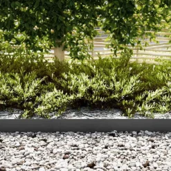 Tuinafscheidingen*vidaXL Tuinrand 10 pcs 100 x 0,05 x 15 cm Koudgewalst staal Zwart
