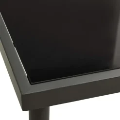 Tuinmeubelen*vidaXL Tuintafel 80x80x72 cm glas en staal kleurig Antraciet