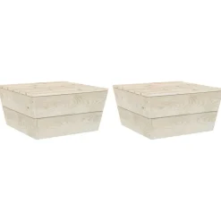 Tuinmeubelen*vidaXL Tuintafels 2 st 60x60x30 cm geïmpregneerd vurenhout