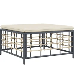 Tuinmeubelen*vidaXL Tuinvoetenbank met kussen poly rattan Beige