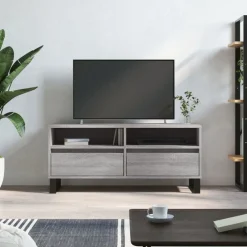 Tv-Meubels*vidaXL Tv-meubel 100x34,5x44,5 cm bewerkt hout eikenkleur Grijs sonoma