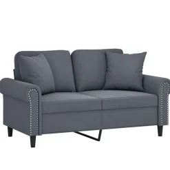 Banken*vidaXL Tweezitsbank met sierkussens 120 cm fluweel Donkergrijs