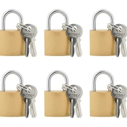 U-slot met sleutels 6 pcs Koper IJzer>vidaXL Clearance