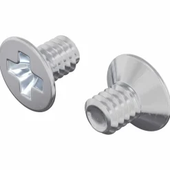Bouwbeslag*vidaXL Verzonken schroeven 2 pcs Zilver M4 x 6 mm Staal