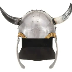 Vikinghelm fantasie LARP staal zilverkleurig>vidaXL Clearance