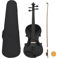 Kunst & Entertainment*vidaXL Vioolset met strijkstok en kinsteun 4/4 Zwart