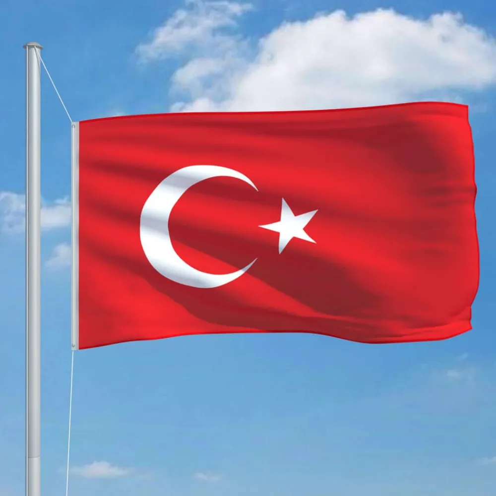 Vlag Turkije 90x150 cm>vidaXL New
