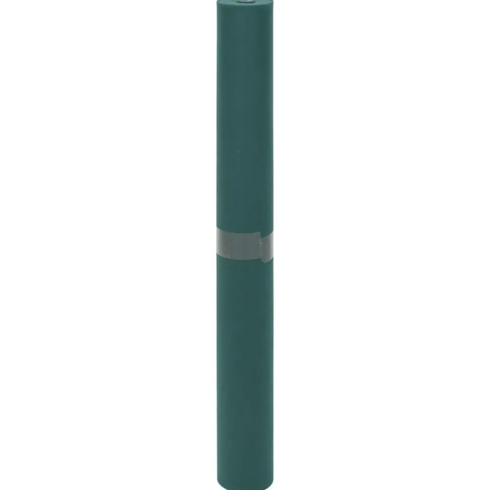 Tuin & Gazon*vidaXL Vliesdoek voor planten 70 g/m² 10x1,6 m Groen