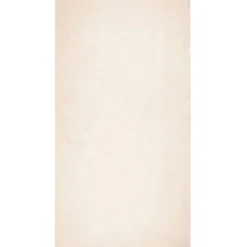 Vloerkleed HUARTE laagpolig zacht wasbaar 60x110 cm>vidaXL Hot