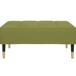 Poefs*vidaXL Voetenbank 78x56x32 cm fluweel Lichtgroen