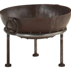 Vuurplaats Ø40 cm ijzer>vidaXL