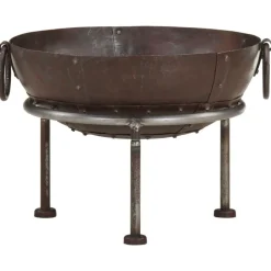 Vuurplaats Ø40 cm ijzer>vidaXL