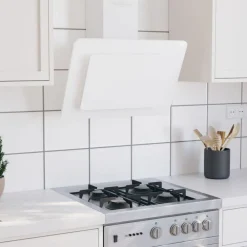 Keuken & Eetkamer*vidaXL Wandafzuigkap 60 cm roestvrij staal en gehard glas Wit