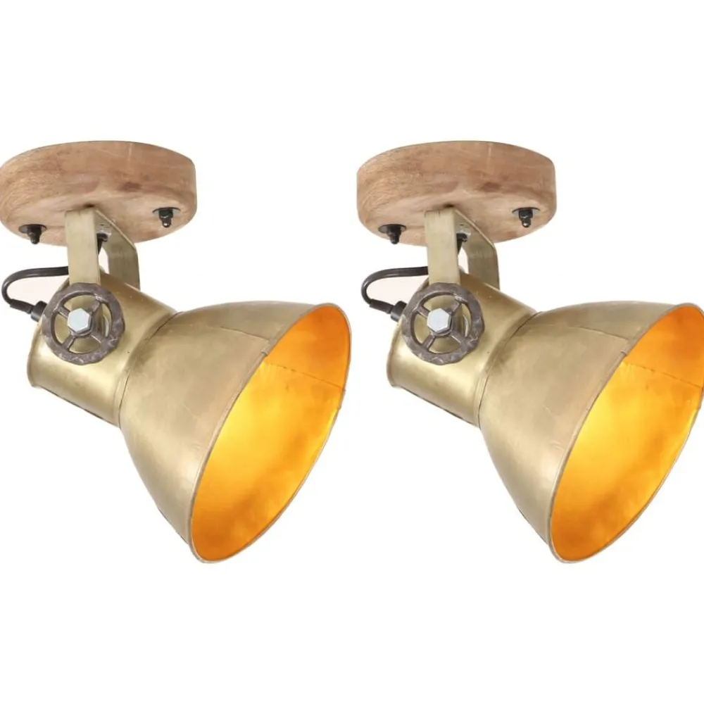 Verlichting*vidaXL Wand-/plafondlampen industrieel 2 st E27 20x25 cm messingkleur Koper