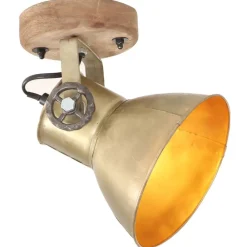 Verlichting*vidaXL Wand-/plafondlampen industrieel 2 st E27 20x25 cm messingkleur Koper