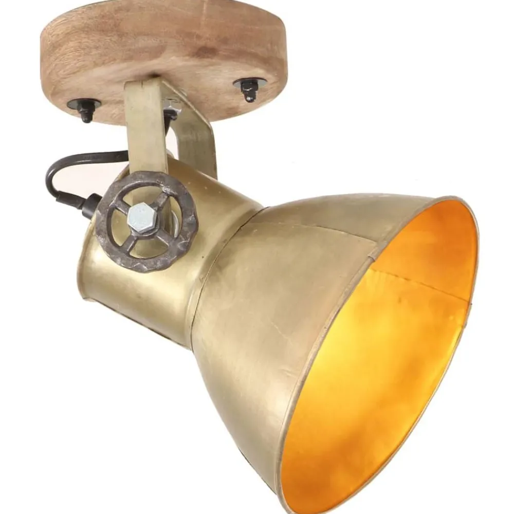 Verlichting*vidaXL Wand-/plafondlampen industrieel 2 st E27 20x25 cm messingkleur Koper