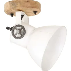 Verlichting*vidaXL Wand-/plafondlampen industrieel 2 st E27 20x25 cm Wit