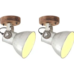Verlichting*vidaXL Wand-/plafondlampen industrieel 2 st E27 20x25 cm kleurig Zilver