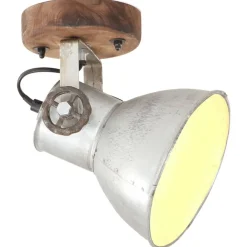 Verlichting*vidaXL Wand-/plafondlampen industrieel 2 st E27 20x25 cm kleurig Zilver