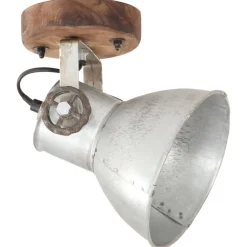 Verlichting*vidaXL Wand-/plafondlampen industrieel 2 st E27 20x25 cm kleurig Zilver