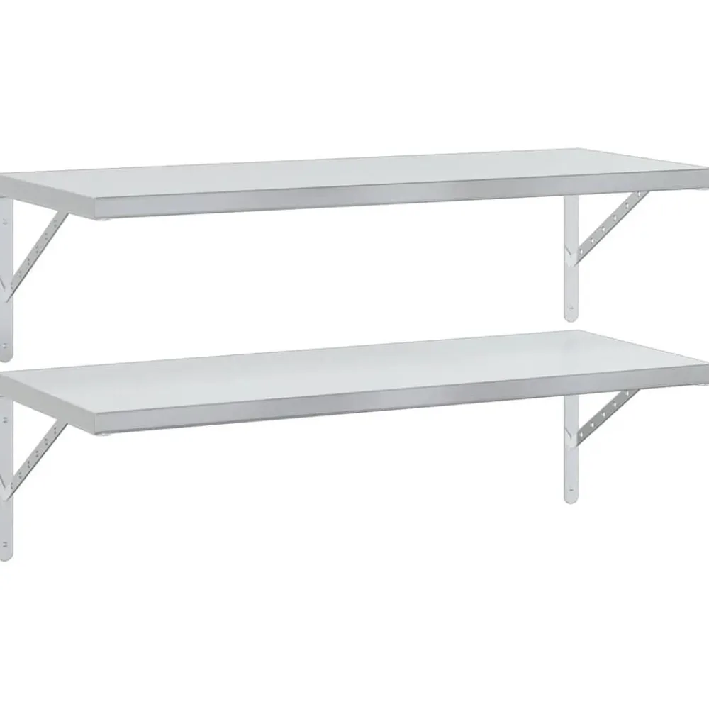 Boekenkasten & Wandplanken*vidaXL Wandschappen 2 st 100x40 cm roestvrijstaal kleurig Zilver