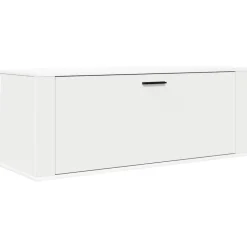 Wandschoenenkast 100x35x38 cm bewerkt hout>vidaXL New