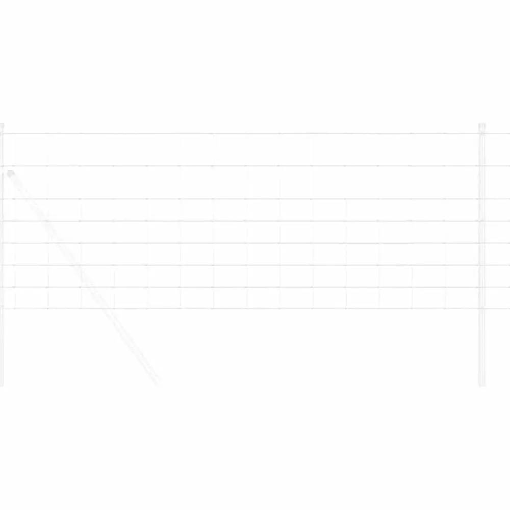Wilde Hek Warm Verzinkt 1000 x 80 x 0,18 cm IJzer>vidaXL Discount