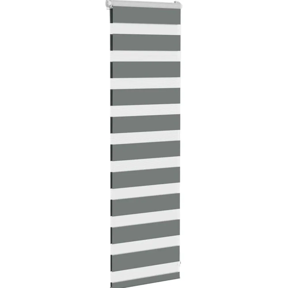 Zebra rolgordijn 40x100 cm stofbreedte 35,9 cm>vidaXL Sale