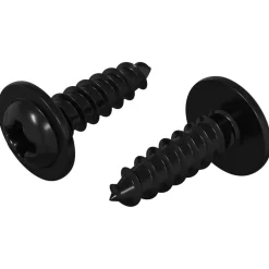 Bouwbeslag*vidaXL Zelftappende Nagel 2 pcs Zwart 3,5 x 12 mm IJzer