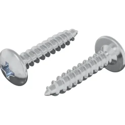 Bouwbeslag*vidaXL Zelftappende Nagel 2 pcs Verzinkt 4 x 20 mm Staal