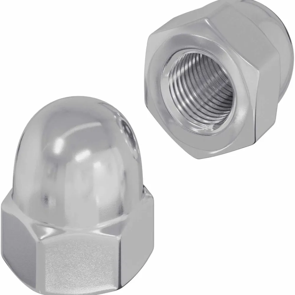 Bouwbeslag*vidaXL Zeskantige eikelnuts 2 pcs Zilver m8 Metaal