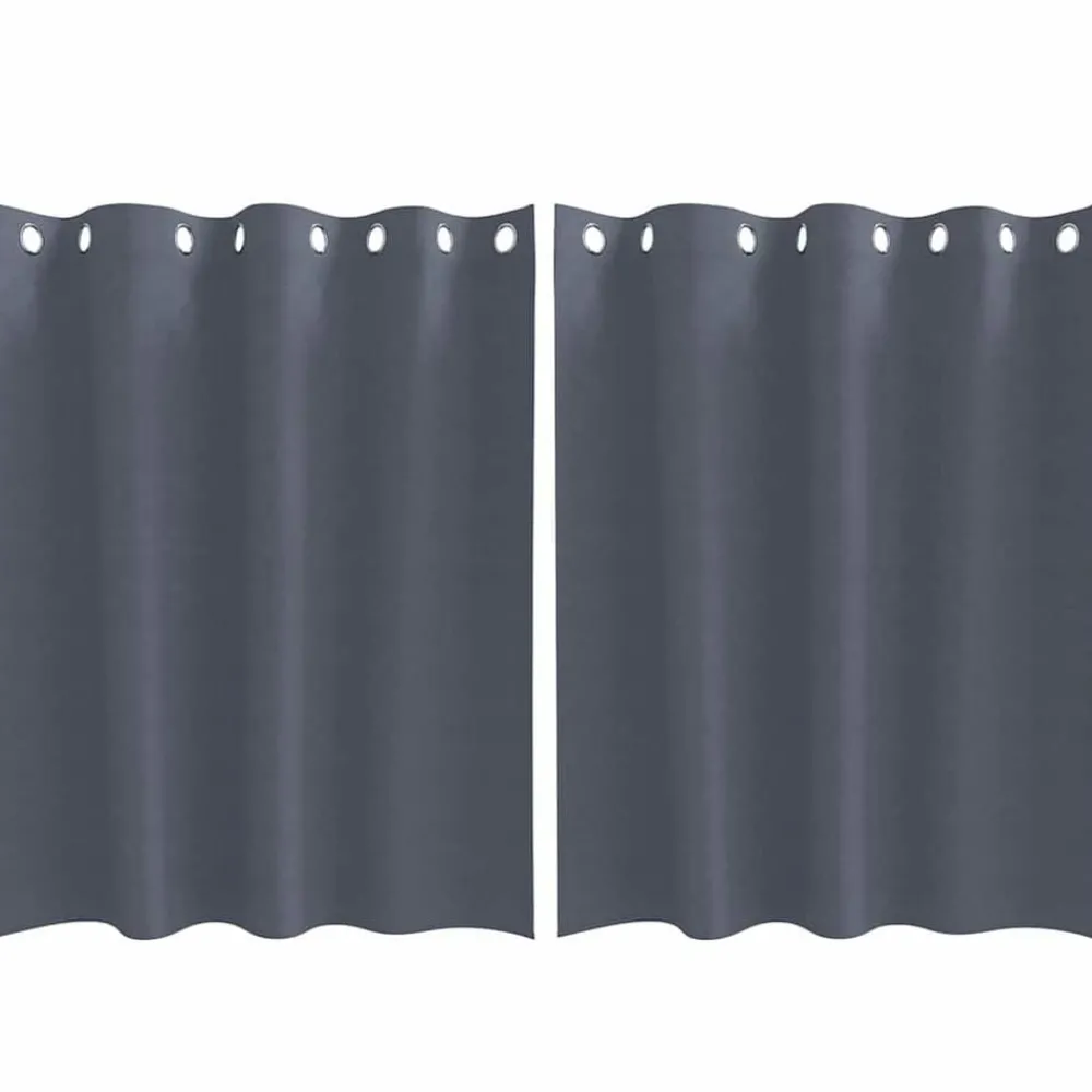 Woon- & Tuinaccessoires*vidaXL Zwart-out Gordijnen met Ringen 2 pcs 140 x 140 cm Antraciet