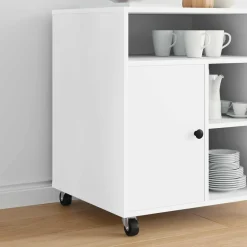 Bouwbeslag*vidaXL Zwenkwiel 2 pcs Zilver 60 x 60 x 50 mm IJs en nylon